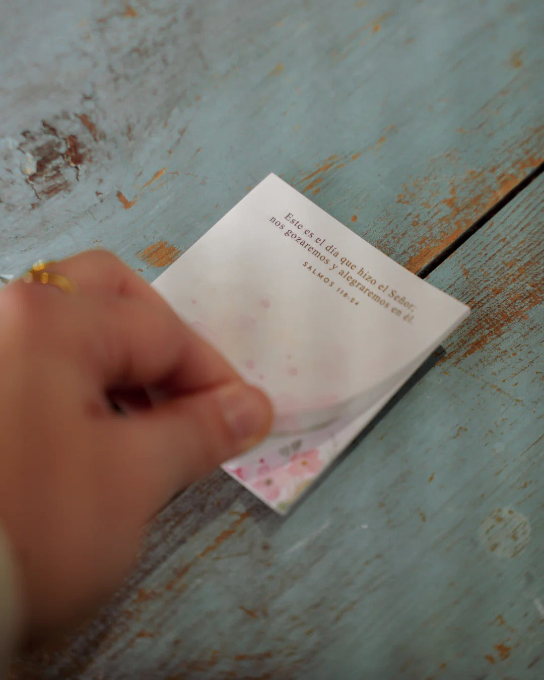 NOTAS ADHESIVAS: GOZO
