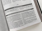 RVR60: BIBLIA DE ESTUDIO DAKE