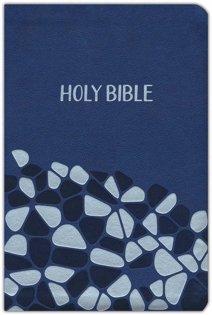 NIV: HOLY BIBLE