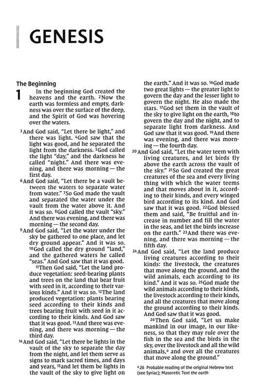 NIV: HOLY BIBLE