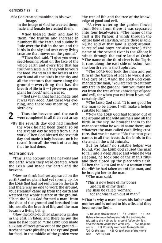 NIV: HOLY BIBLE
