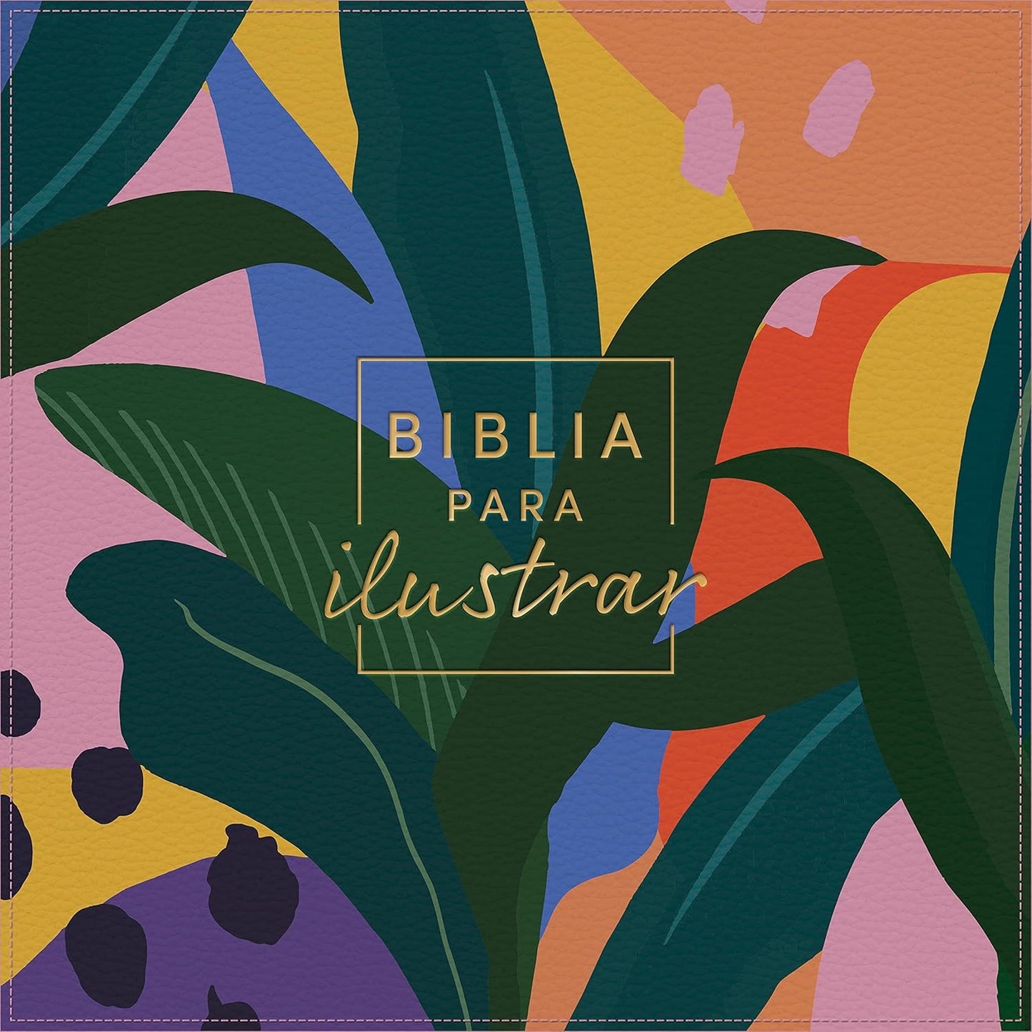 RVR60: BIBLIA PARA ILUSTRAR