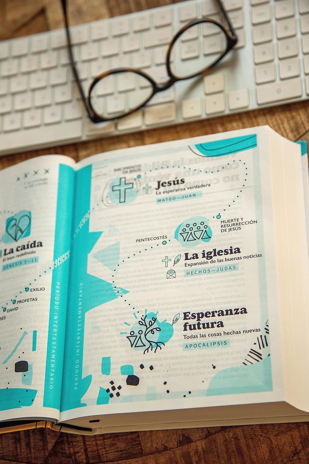 NVI: BIBLIA TEMOS PARA JÓVENES