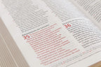 BIBLIA PESHITTA