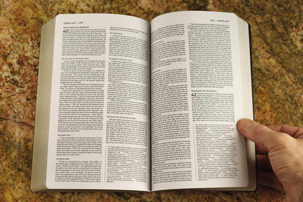 NVI: HOLY BIBLE NIV