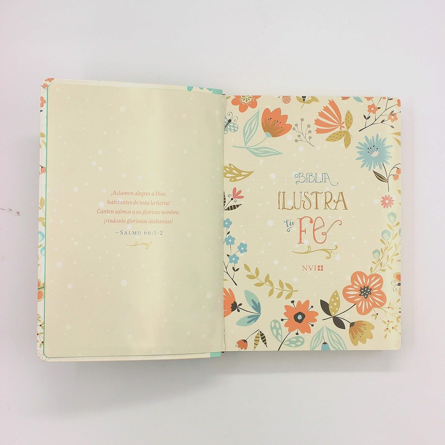 NVI: BIBLIA ILUSTRA TU FE