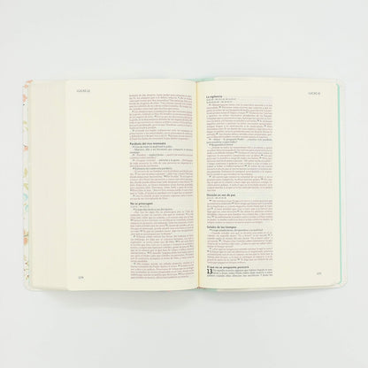 NVI: BIBLIA ILUSTRA TU FE