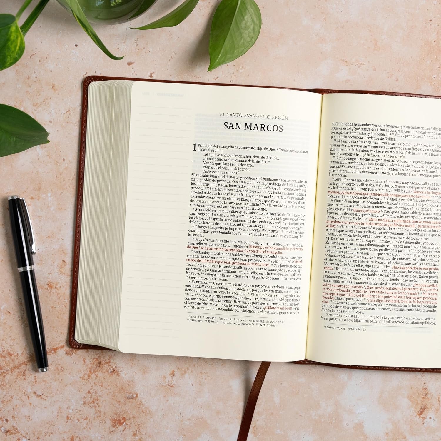 RVR60: BIBLIAS DE APUTES