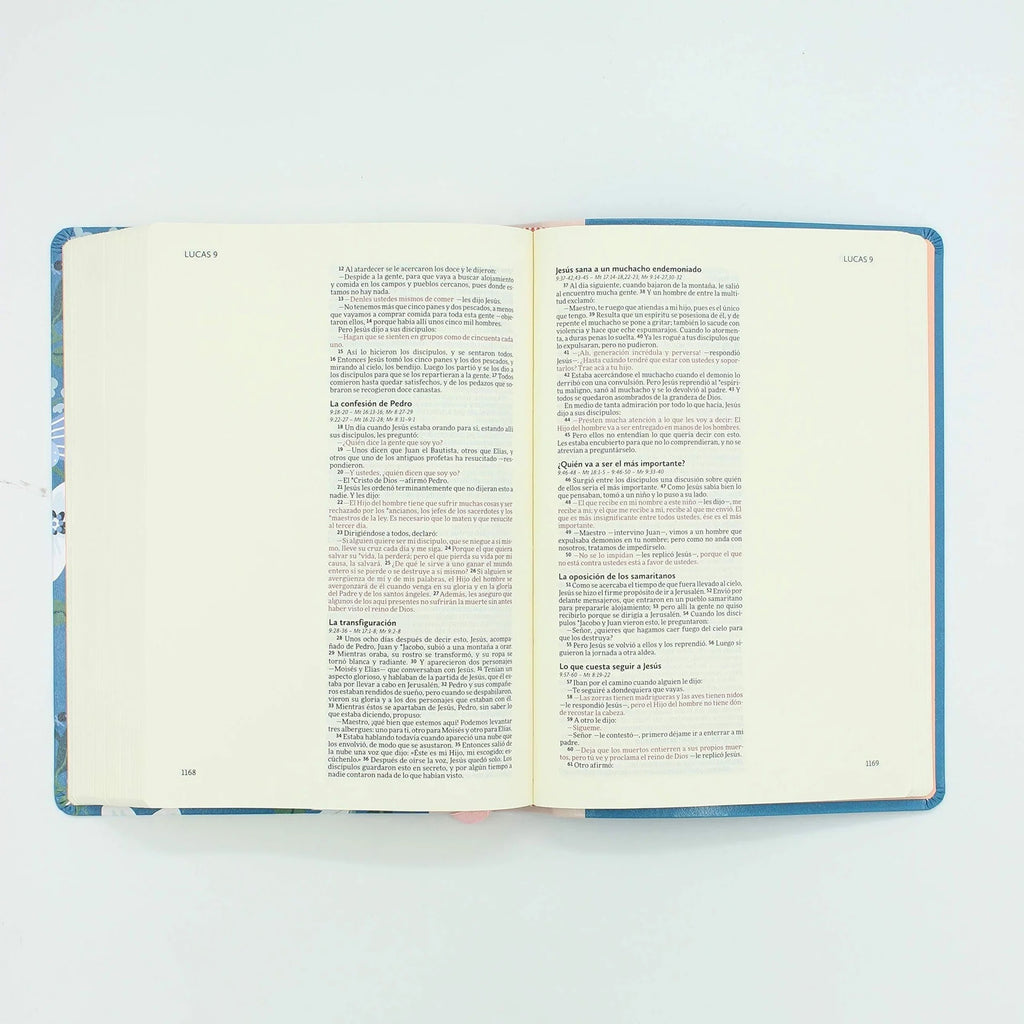 NVI: BIBLIA ILUSTRA TU FE