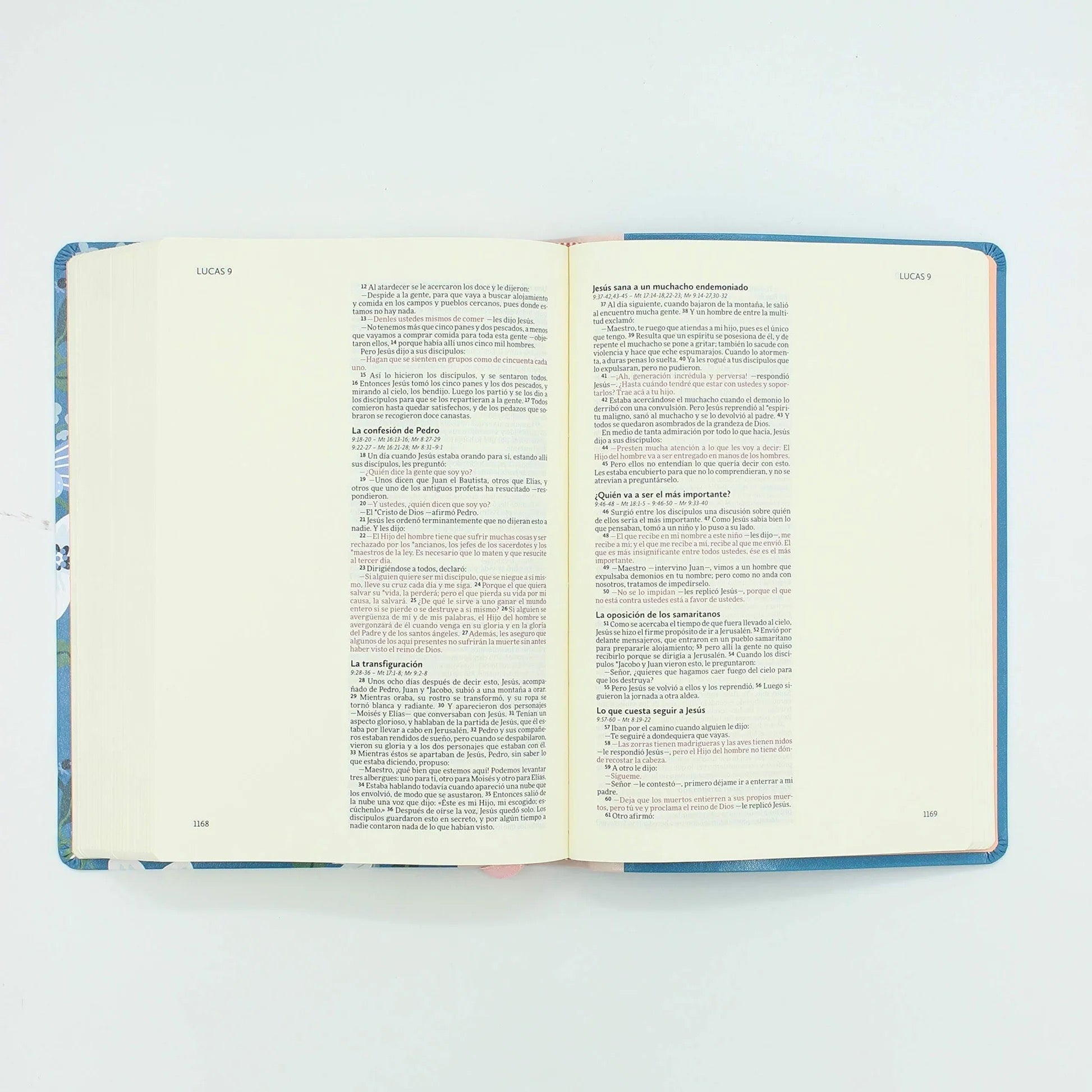 NVI: BIBLIA ILUSTRA TU FE