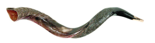PEQUEÑO SHOFAR YEMINÍ