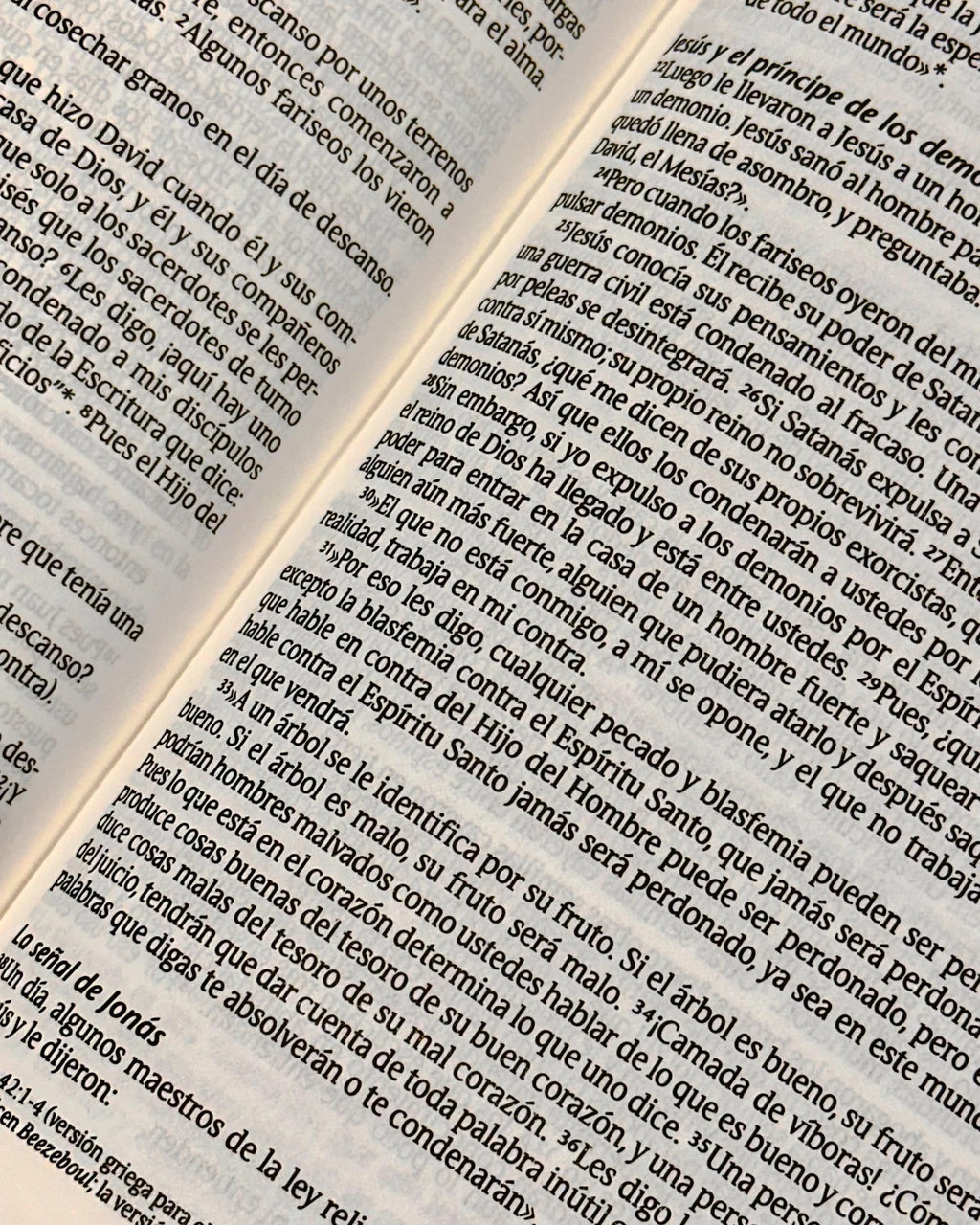 NTV: BIBLIA INSPIRA