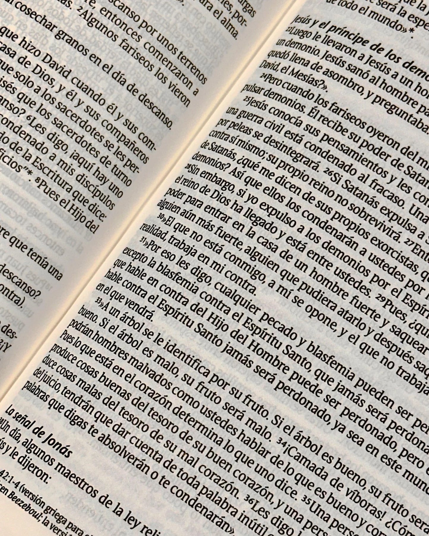 NTV: BIBLIA INSPIRA