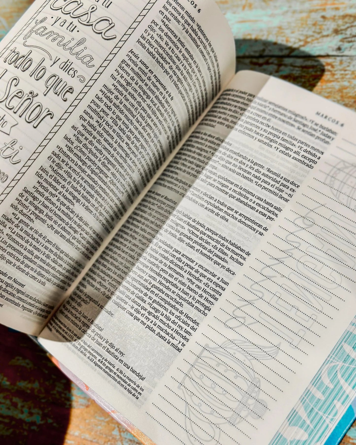 NTV: BIBLIA INSPIRA