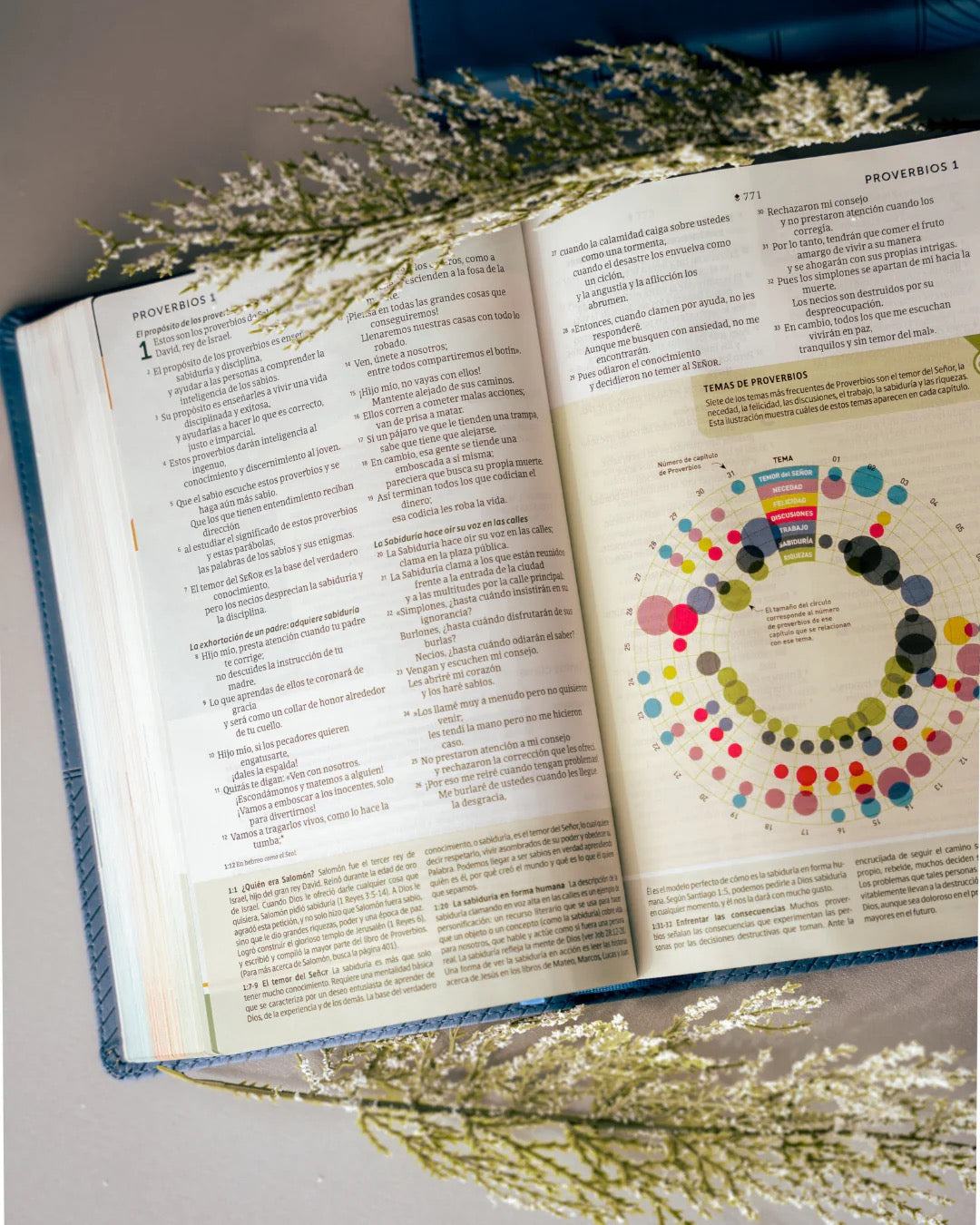 NTV: BIBLIA DE ESTUDIO PARA JÓVENES CON FILAMENT