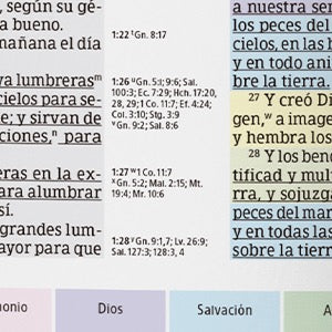 RVR60: BIBLIA DE ESTUDIO ARCOIRIS | CON ÍNDICE