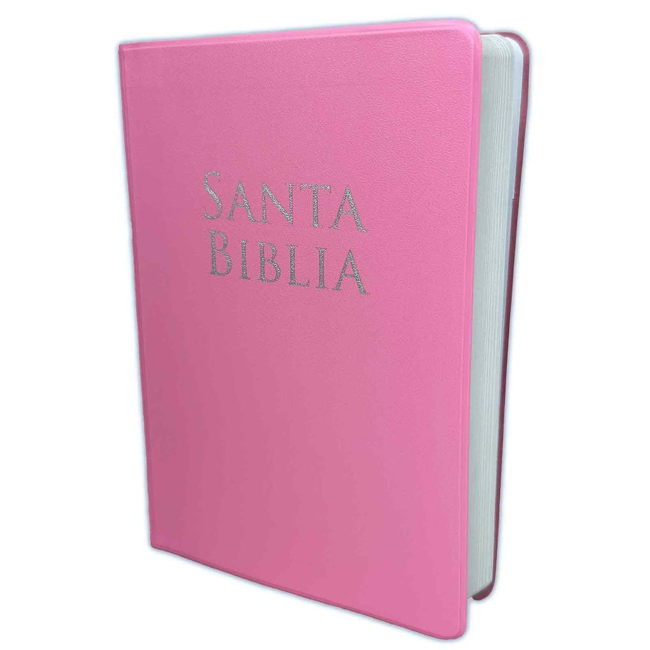 RVR60: SANTA BIBLIA LETRA GANDE TAMAÑO MANUAL