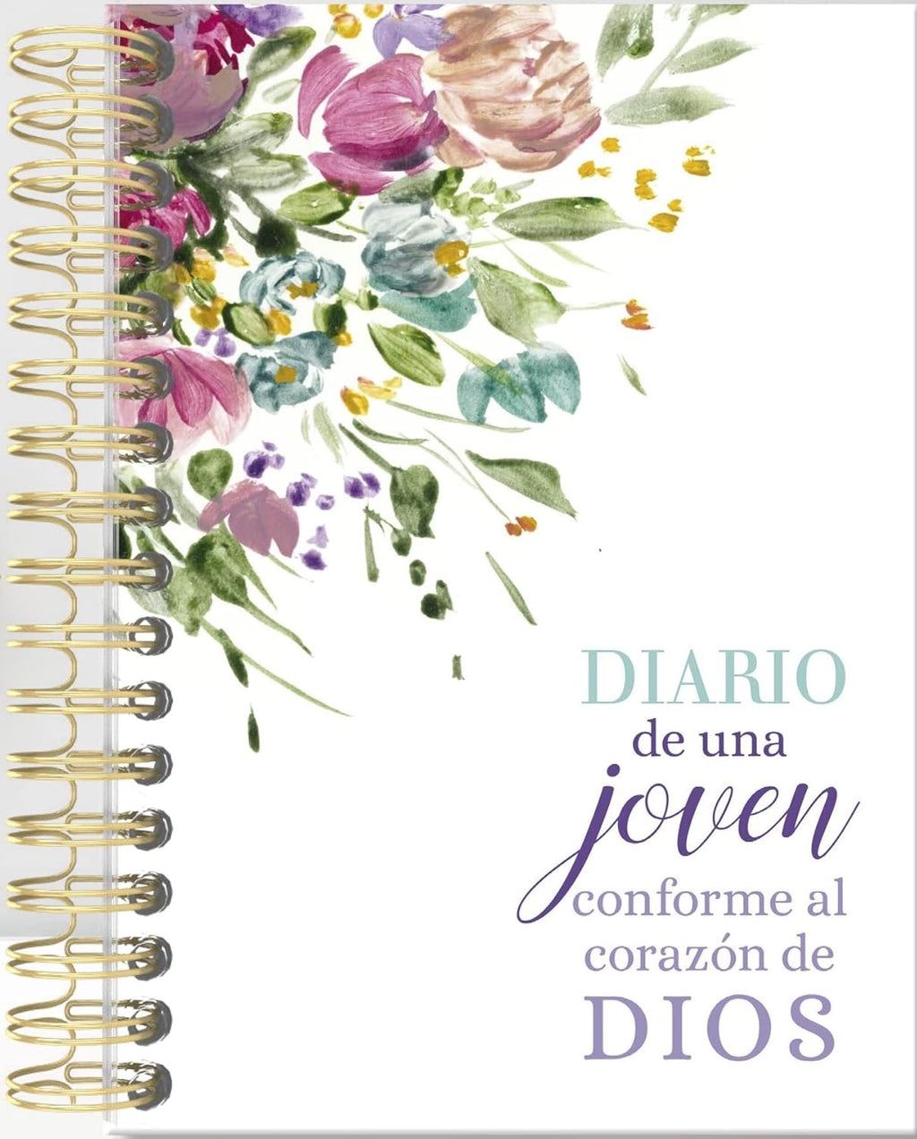 DIARIO DE UNA JOVEN CONFORME AL CORAZON DE DIOS