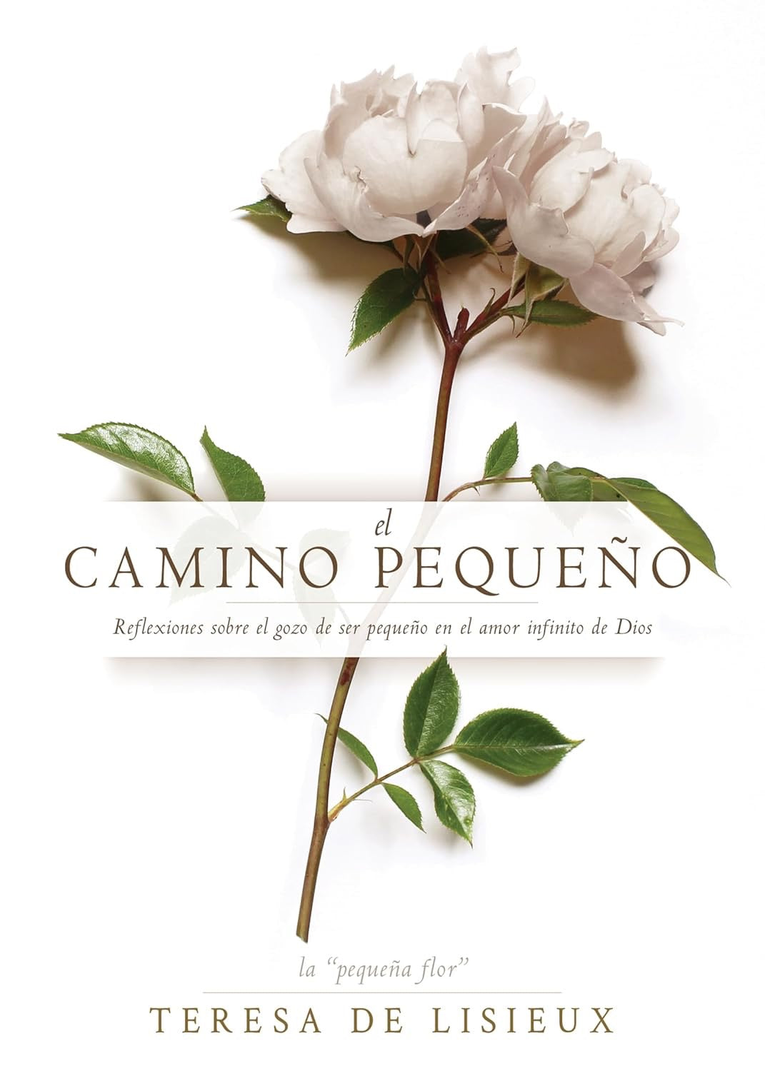 EL CAMINO PEQUEÑO