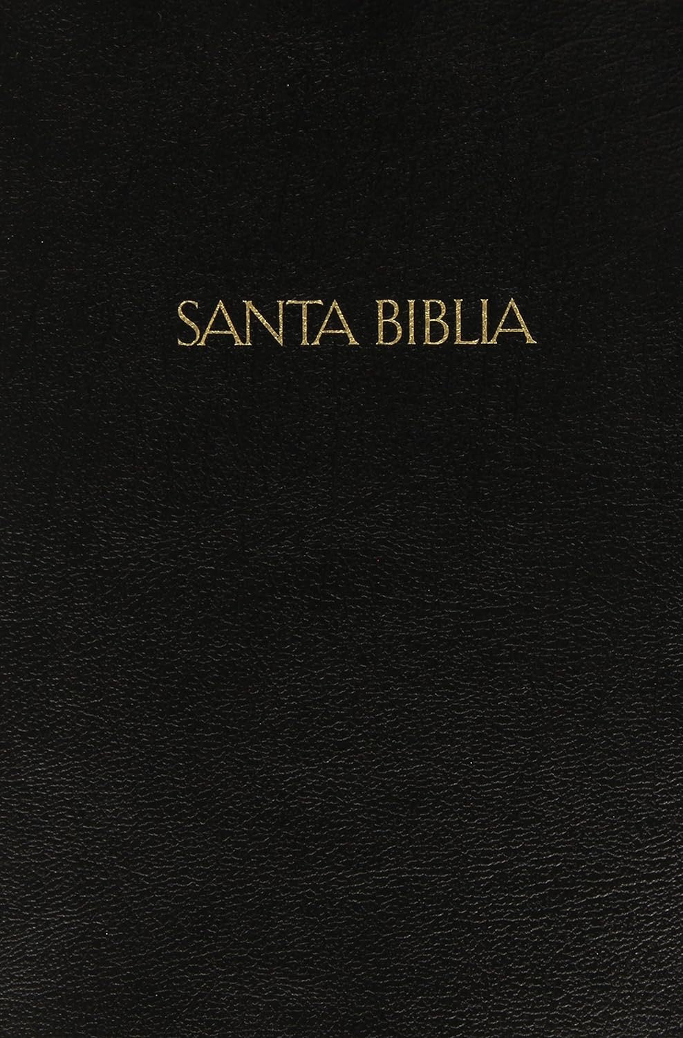 RVR60: BIBLIA BILINÜE