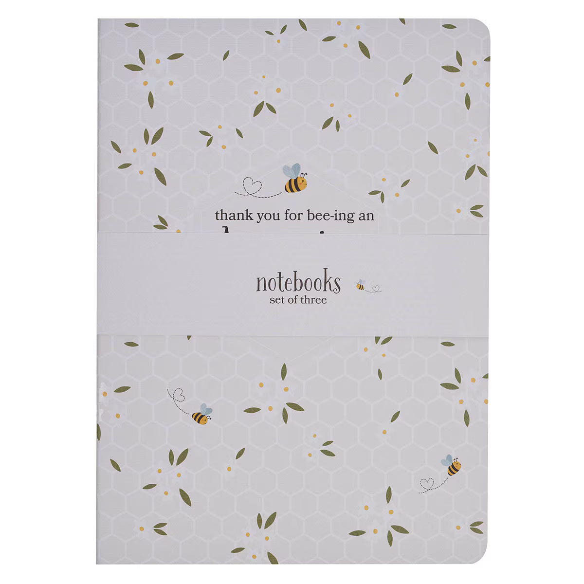 SET DE LIBRETAS