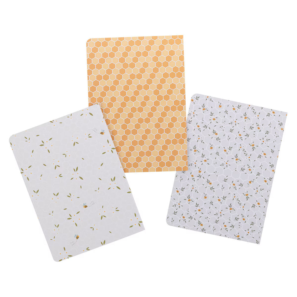 SET DE LIBRETAS
