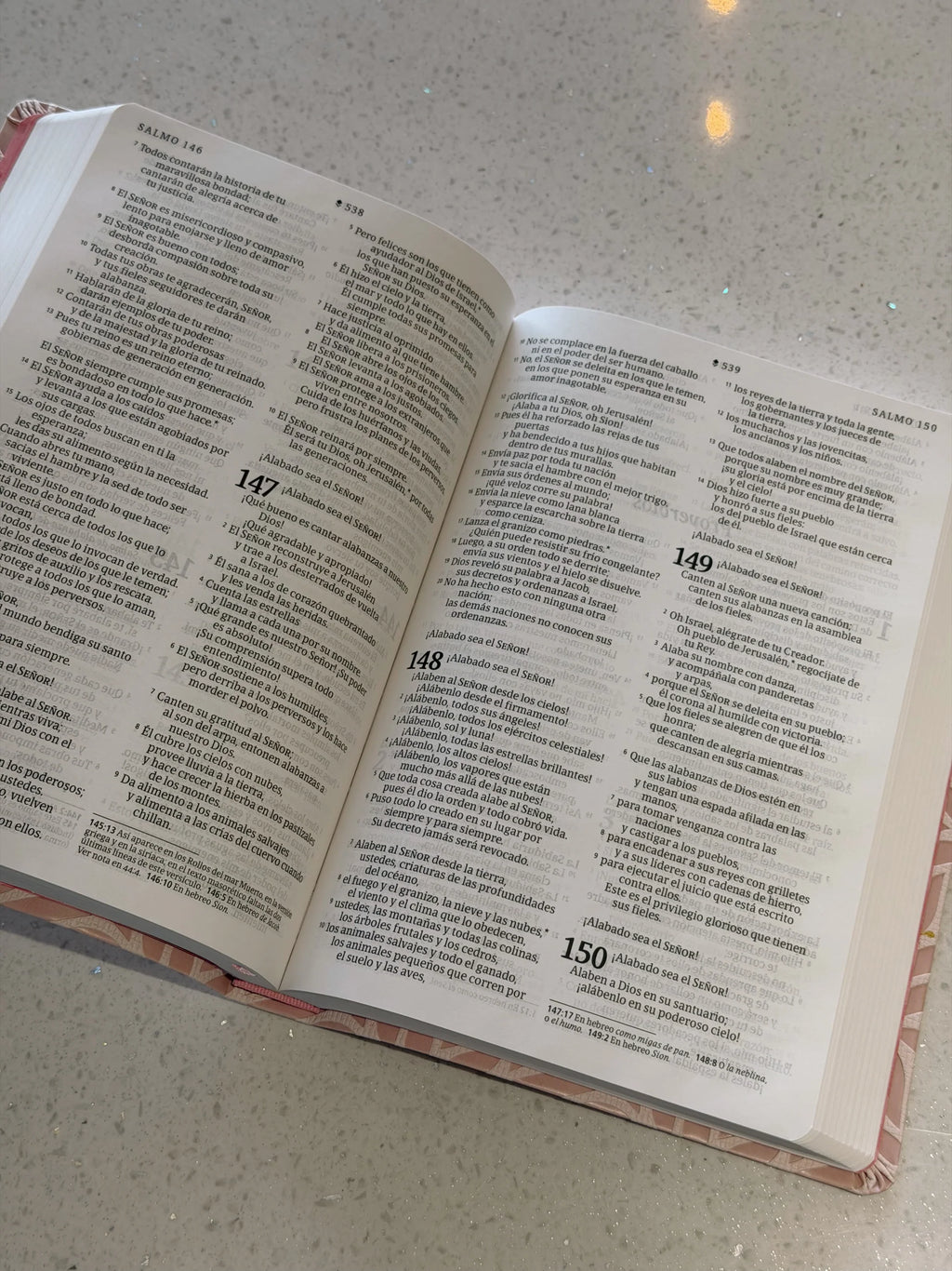 NTV: SANTA BIBLIA