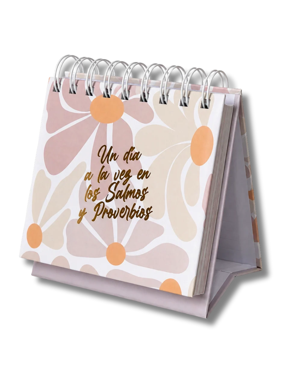 CALENDARIO PERPETUO DE MESA