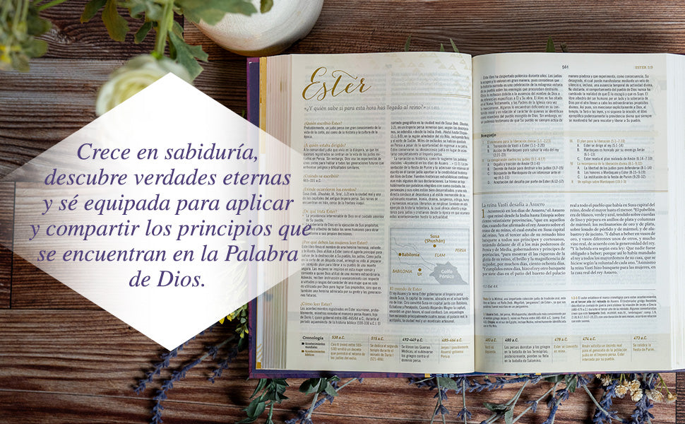 RVR60: BIBLIA DE ESTUDIO PARA MUJERES