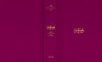 RVR60 : BIBLIA DEVOCIONAL CENTRADA EN CRISTO
