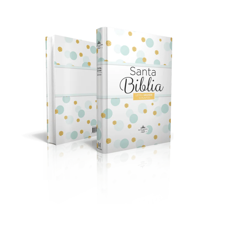 RVR60: SANTA BIBLIA ECO FLEX