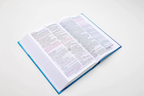 NVI: SANTA BIBLIA