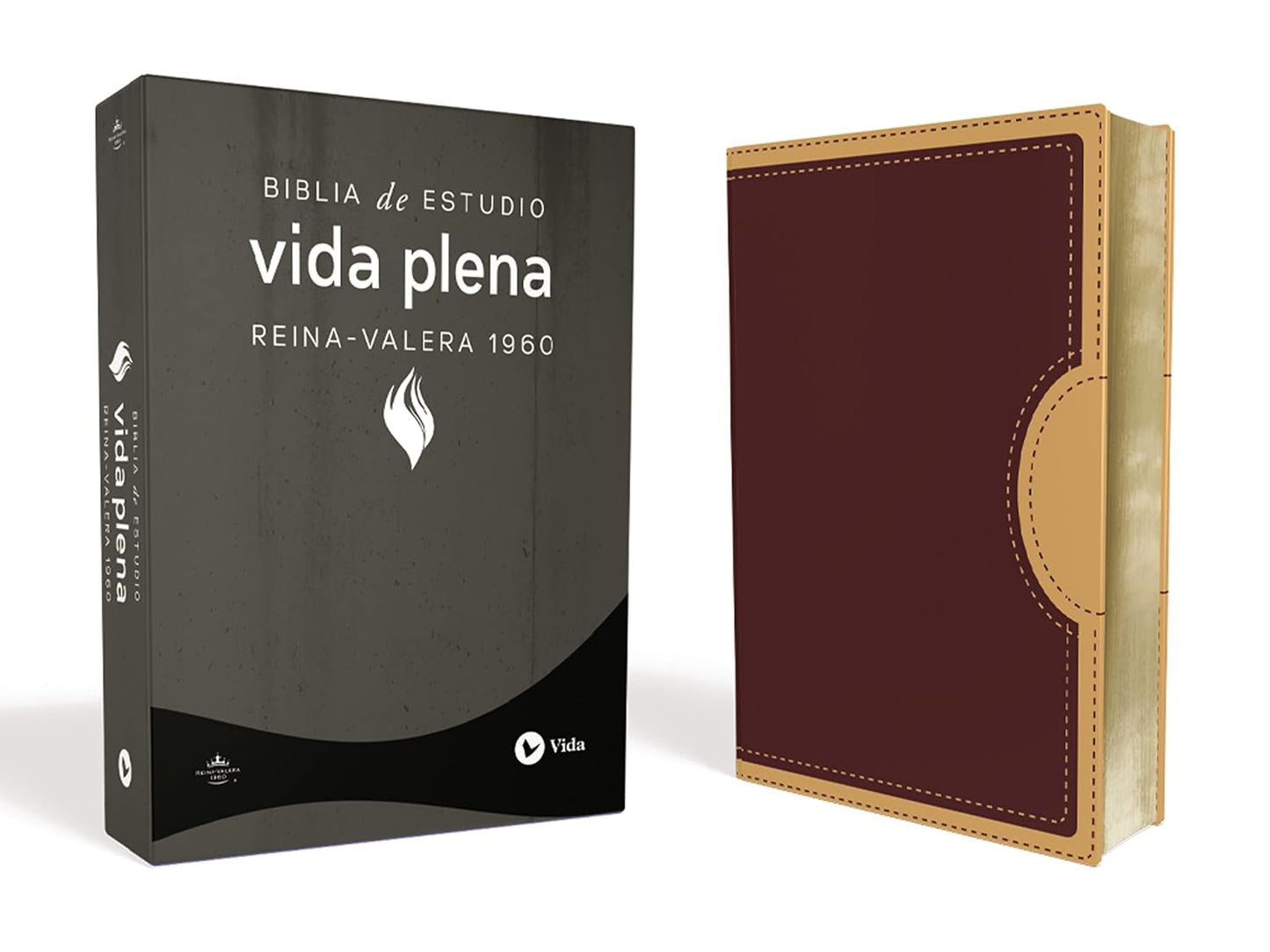 RVR60: BIBLIA DE ESTUDIO VIDA PLENA