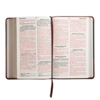 RVR60: SANTA BIBLIA (LETRA GRANDE)