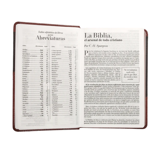 RVR60: SANTA BIBLIA (LETRA GRANDE)